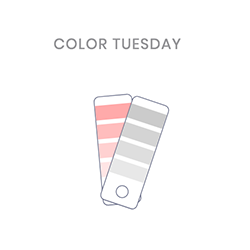 Color Tuesday